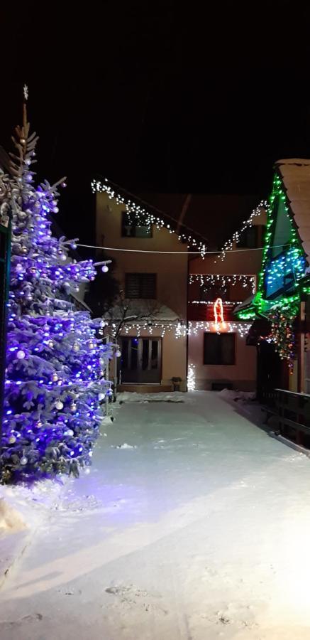 Appartement Casa Nicoladis à Zărneşti Extérieur photo