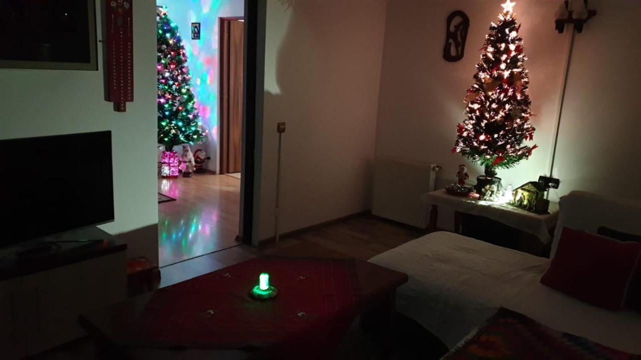 Appartement Casa Nicoladis à Zărneşti Extérieur photo