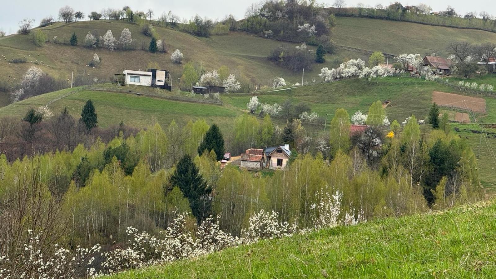 Appartement Casa Nicoladis à Zărneşti Extérieur photo