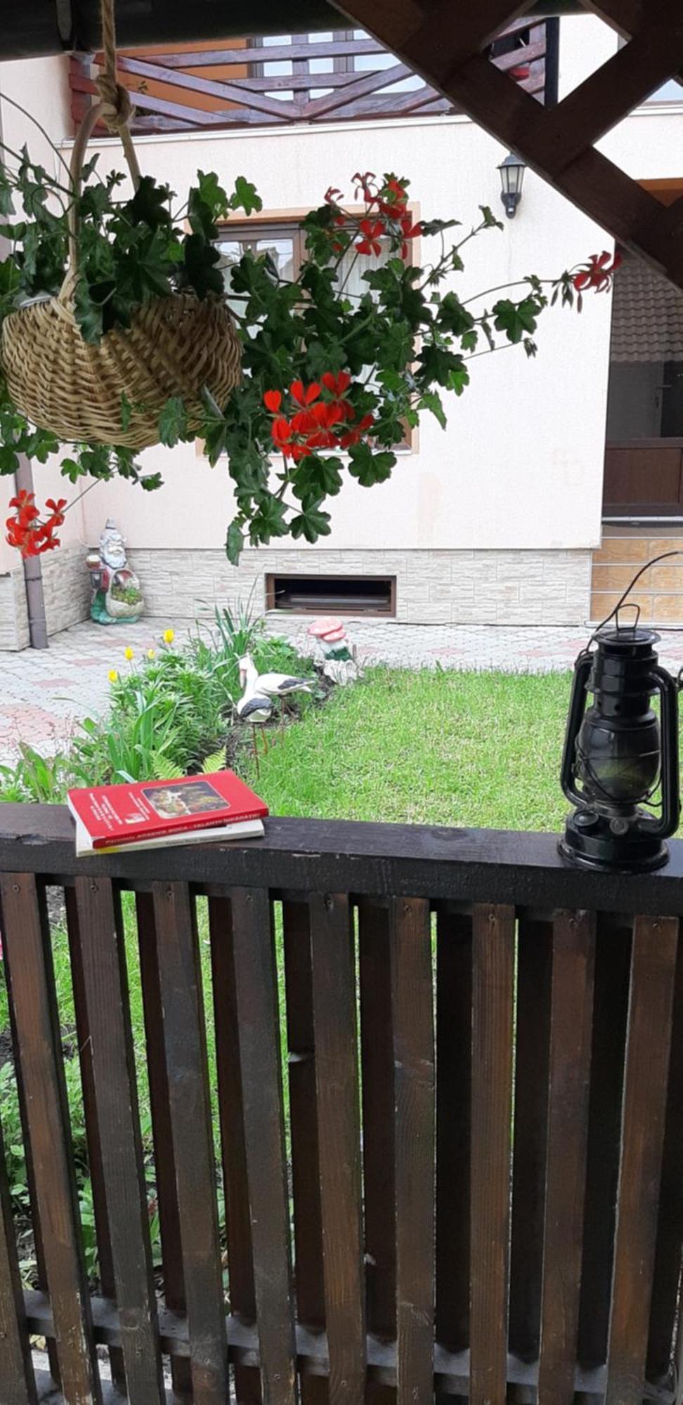 Appartement Casa Nicoladis à Zărneşti Chambre photo