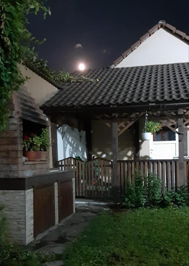 Appartement Casa Nicoladis à Zărneşti Extérieur photo